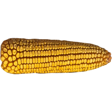 Load image into Gallery viewer, Bienvenido's Backyard Bird Feeder Kit